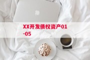 XX开发债权资产01-05