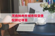 河南林州市城市投资债权转让项目