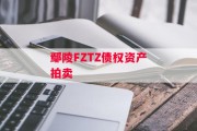 鄢陵FZTZ债权资产拍卖