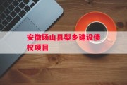 安徽砀山县梨乡建设债权项目