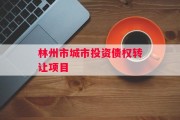 林州市城市投资债权转让项目