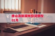 唐山高新国有投资债权01号