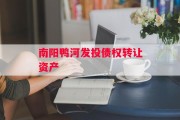 南阳鸭河发投债权转让资产