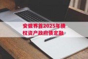 安徽界首2025年债权资产政府债定融