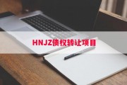 HNJZ债权转让项目