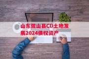 山东微山县CD土地发展2024债权资产