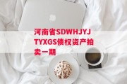 河南省SDWHJYJTYXGS债权资产拍卖一期