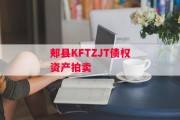 郏县KFTZJT债权资产拍卖