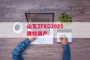 山东ZFKG2025债权资产