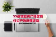 SS县城鑫资产经营债权资产政府债定融