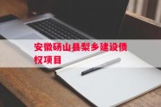 安徽砀山县梨乡建设债权项目