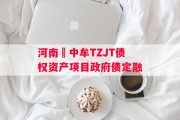 河南•中牟TZJT债权资产项目政府债定融