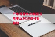 广东河源市JD新区公用事业2025债权收益权