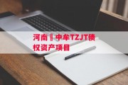 河南•中牟TZJT债权资产项目