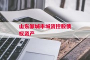 山东邹城市城资控股债权资产