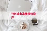 YNX城市发展债权资产