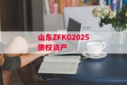 山东ZFKG2025债权资产