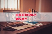 山东ZFKG2025债权资产