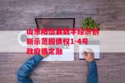 山东阳信县数字经济创新示范园债权1-4号政府债定融