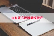 山东正方控股债权资产