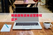 郏县国有资本运营债权资产