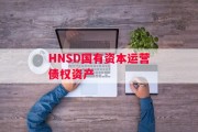 HNSD国有资本运营债权资产