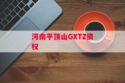 河南平顶山GXTZ债权