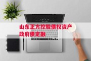 山东正方控股债权资产政府债定融