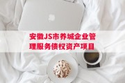 安徽JS市养城企业管理服务债权资产项目
