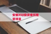 安徽XXX投资委托租赁项目