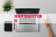 河南平顶山GXTZ债权