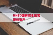 HNSD国有资本运营债权资产