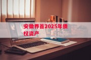 安徽界首2025年债权资产