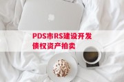 PDS市RS建设开发债权资产拍卖