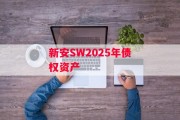 新安SW2025年债权资产
