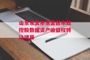 山东东营市东营区市政控股数据资产收益权转让项目