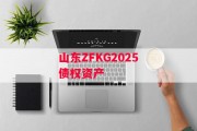 山东ZFKG2025债权资产