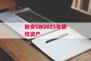 新安SW2025年债权资产