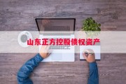 山东正方控股债权资产