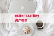 郏县KFTZJT债权资产拍卖