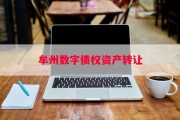 牟州数字债权资产转让