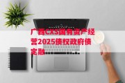 广西CXS国有资产经营2025债权政府债定融