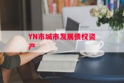YN市城市发展债权资产