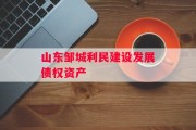 山东邹城利民建设发展债权资产