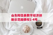 山东阳信县数字经济创新示范园债权1-4号