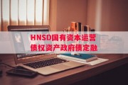 HNSD国有资本运营债权资产政府债定融