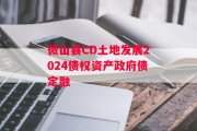 微山县CD土地发展2024债权资产政府债定融