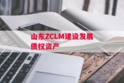 山东ZCLM建设发展债权资产