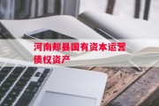 河南郏县国有资本运营债权资产