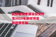武陟县城市建设投资开发2025年债权项目政府债定融
